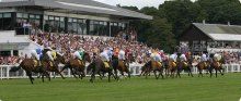 Perth racecourse