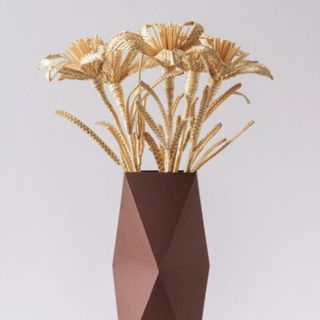 Straw Flowers