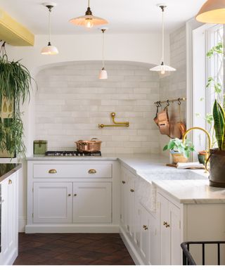 White kitchen with hanging houseplants