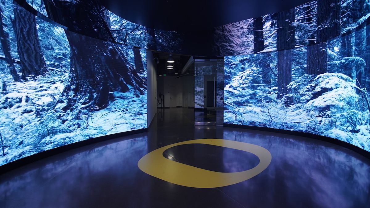 Planar CarbonLight CLI video wall at the University of Oregon&#039;s Matthew Knight Arena