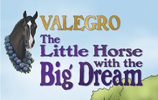 Valegro-book-cover.jpg