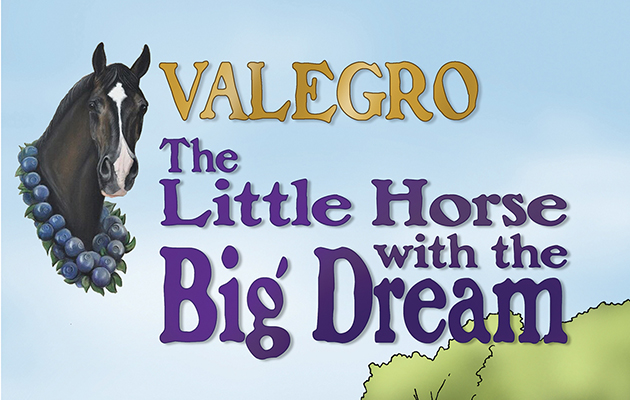 Valegro-book-cover.jpg