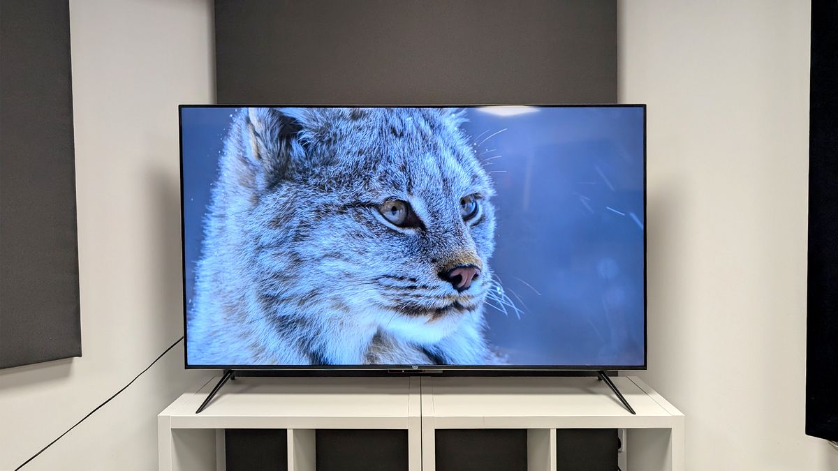 Amazon Fire TV Omni Mini-LED 65-inch TV on white shelving unit with big cat on screen