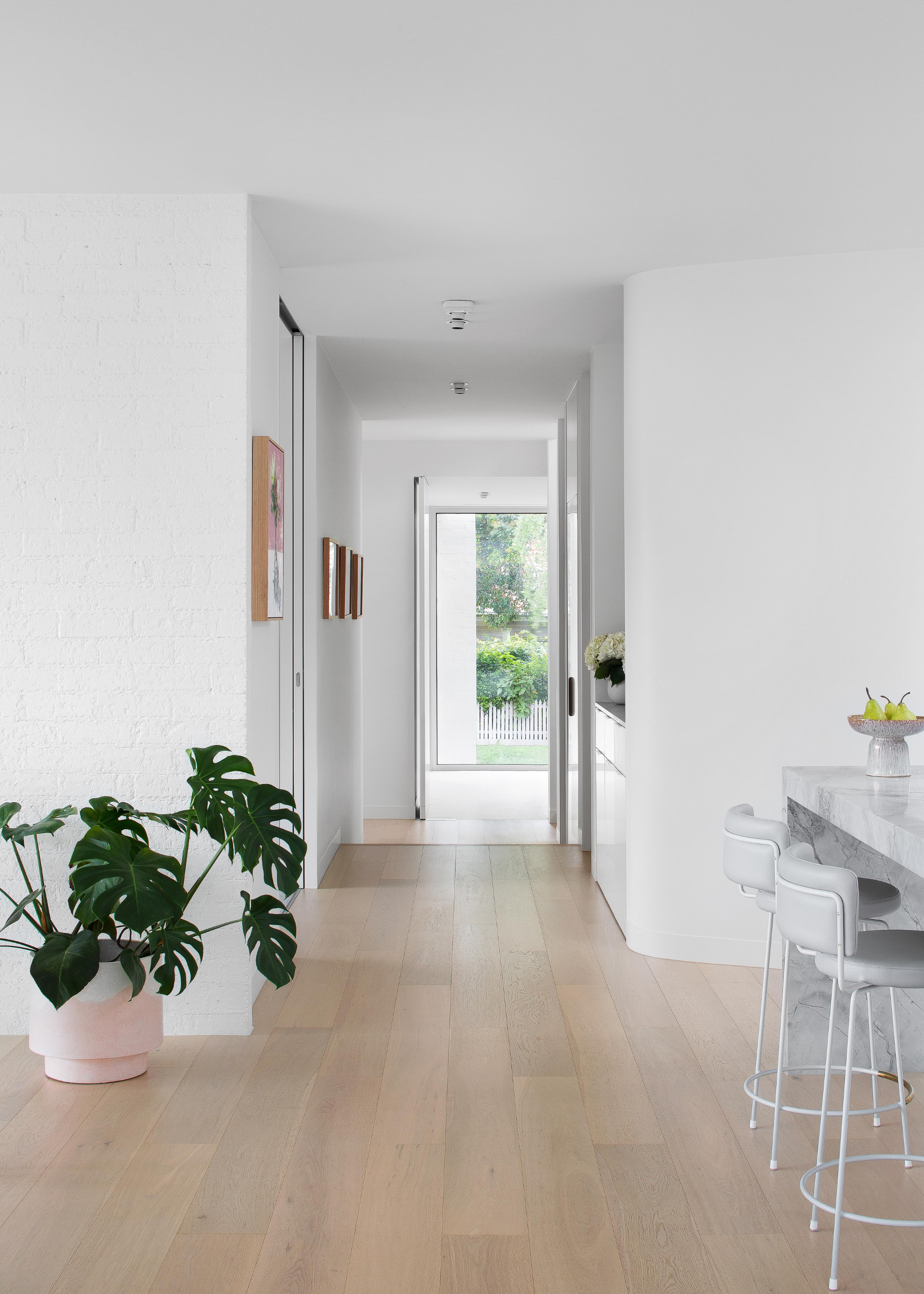 A bright living room and kitchen space with a potted monstera