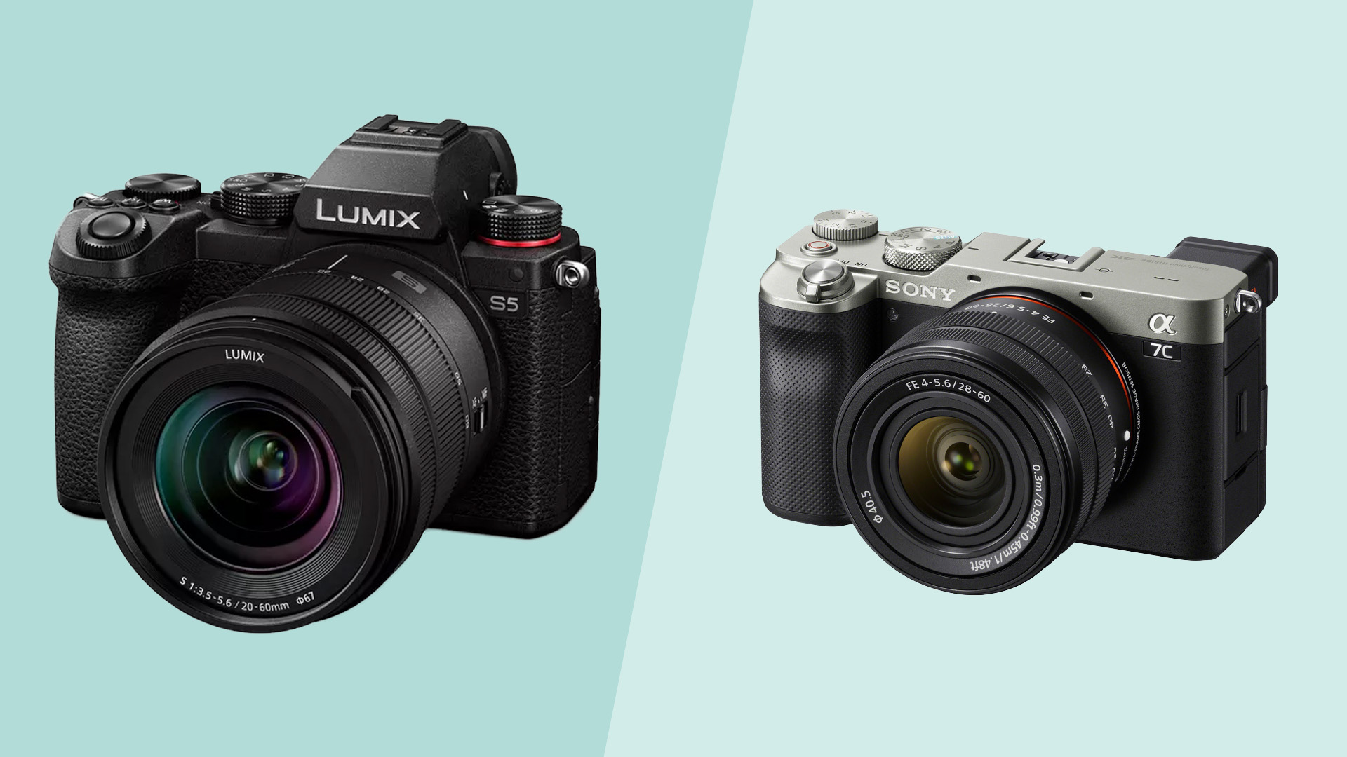 Sony A7C vs Panasonic S5