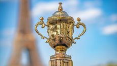 Who will lift the Webb Ellis Cup on 28 October? 