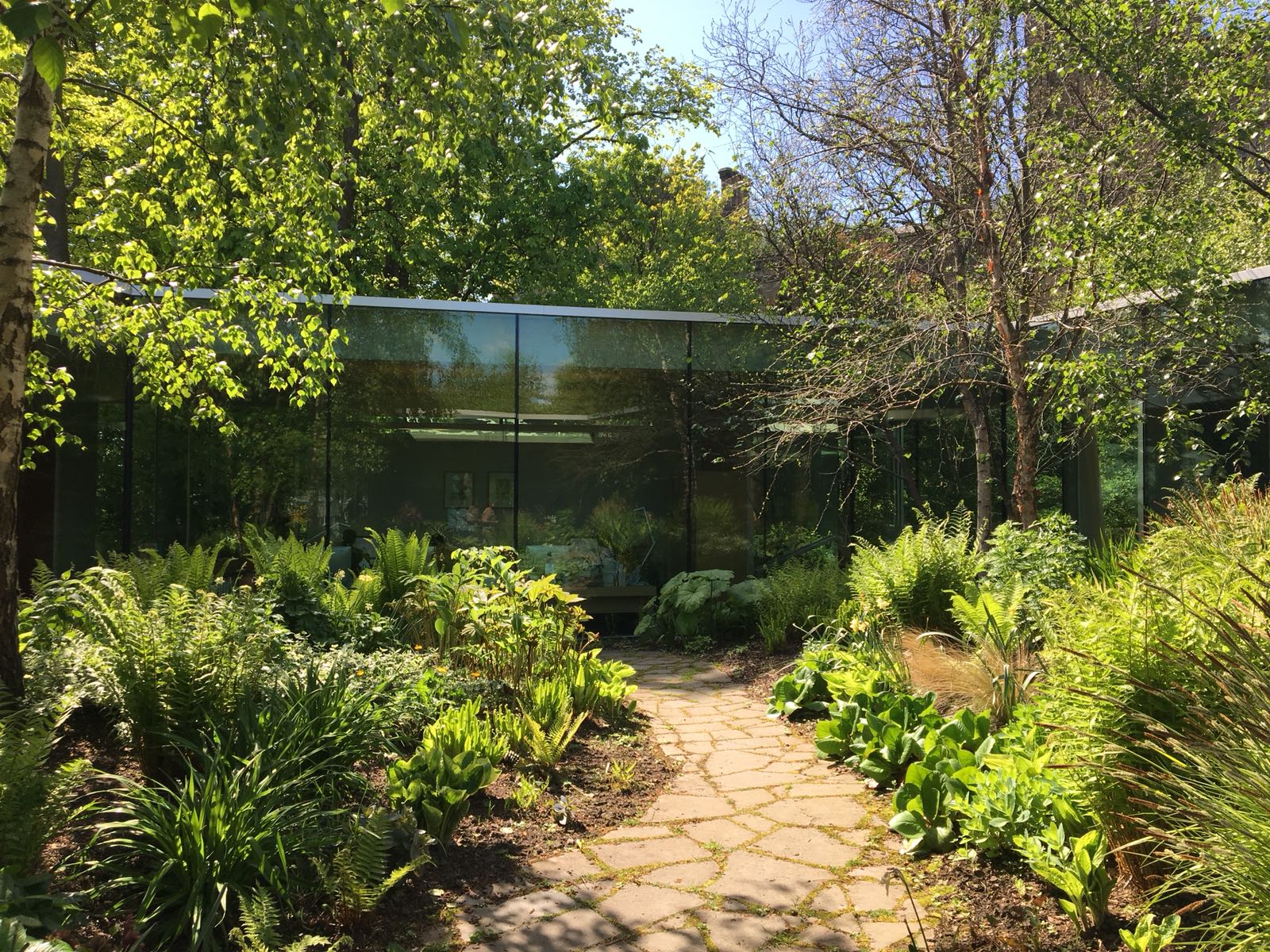 Maggie&#039;s Glasgow and its mature garden by Lily Jencks