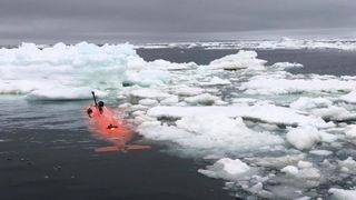 The unmanned submarine took a dive beneath Antarctica's Thwaites Glacier.