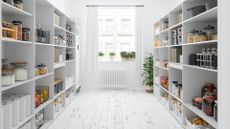  An organized Pantry with various shelving 