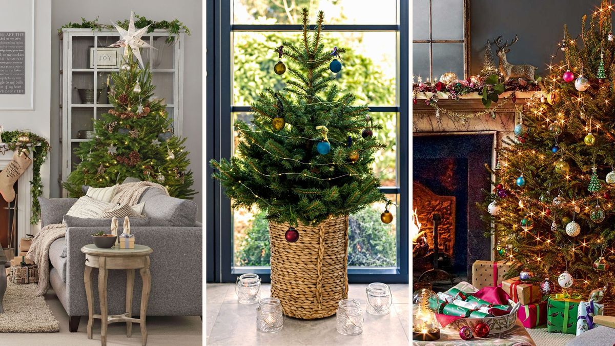6 style rules to make your Christmas tree look more expensive