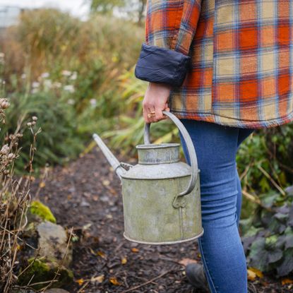 Low angle view of a woman carrying a watering can ready to tend to her crops.