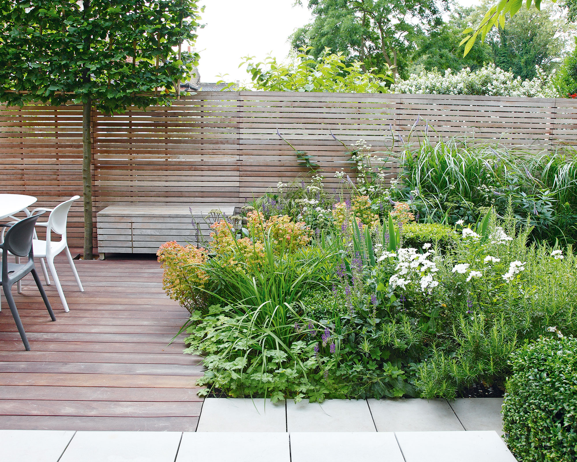 privacy plants for decks