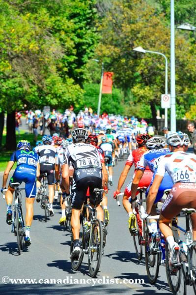 The pain factory: The back of the peloton on the climb for the last time.