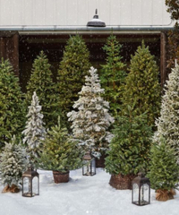  Best places to buy convincing artificial Christmas trees    - 34