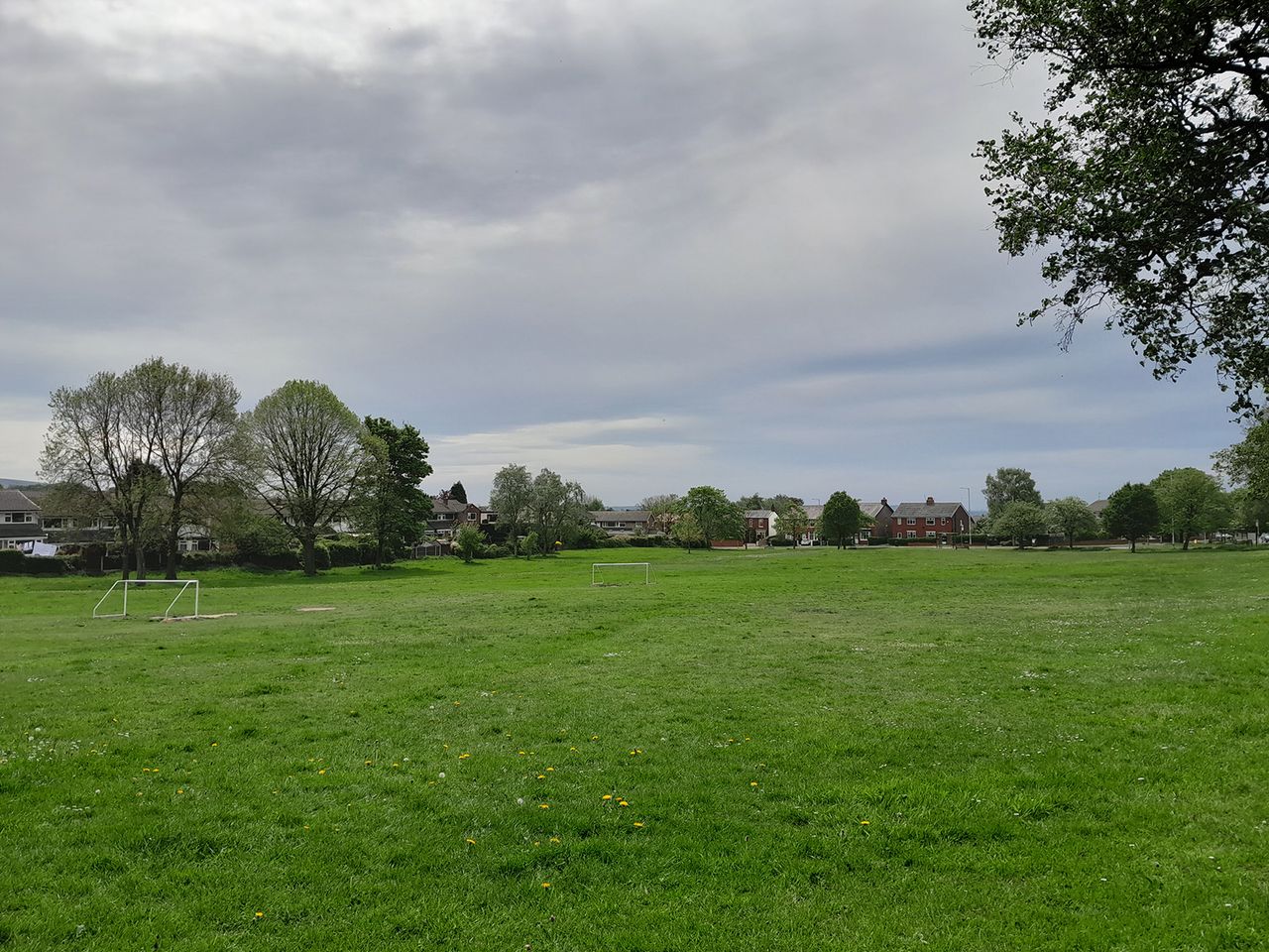 Samsung Galaxy A13 camera sample showing a park in the day
