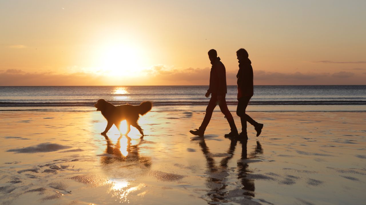 Two people walking their dog on the beach at sunset