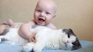 A baby cuddling an unhappy-looking cat with its ears back
