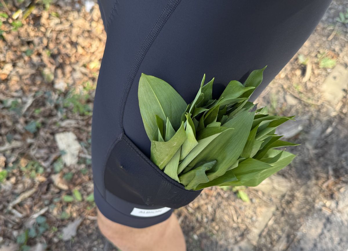 Great for garlic foraging it turns out