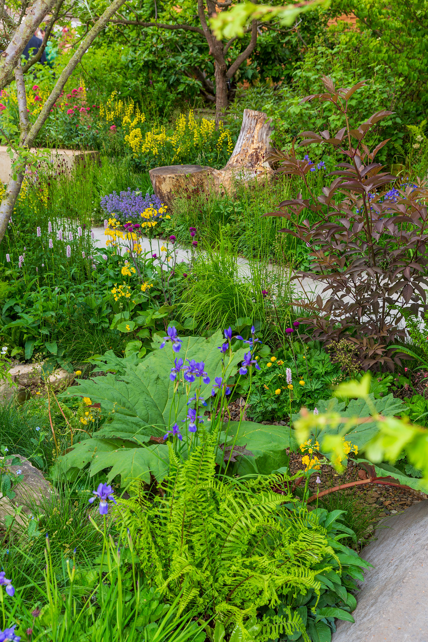 The Avanade Intelligent Garden at RHS Chelsea Flower Show 2025