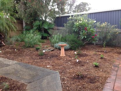 Garden Full Of Tea Tree Mulch