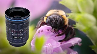 Laowa Acris 35mm f/2.8 1x Macro Apo lens and sample image