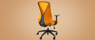 Flexi-Chair Oka Office Chair BS9