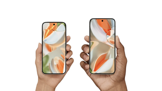 The Pixel 9 Pro and Pixel 9 Pro Max each being held up against a white background