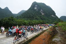 BAMA CHINA OCTOBER 17 A general view of the peloton stopped due to a multiple fall during the 5th GreeTour Of Guangxi 2024 Stage 3 a 214km stage from Jingxi to Bama UCIWT on October 17 2024 in Bama China Photo by Dario BelingheriGetty Images