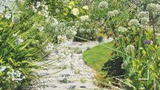 A garden with wildflower boarders either side of a gravel path