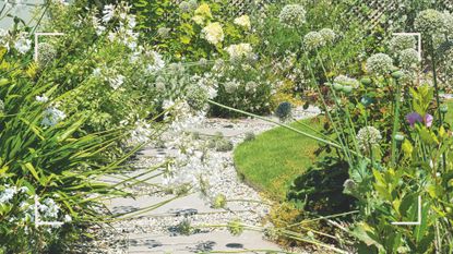A garden with wildflower boarders either side of a gravel path