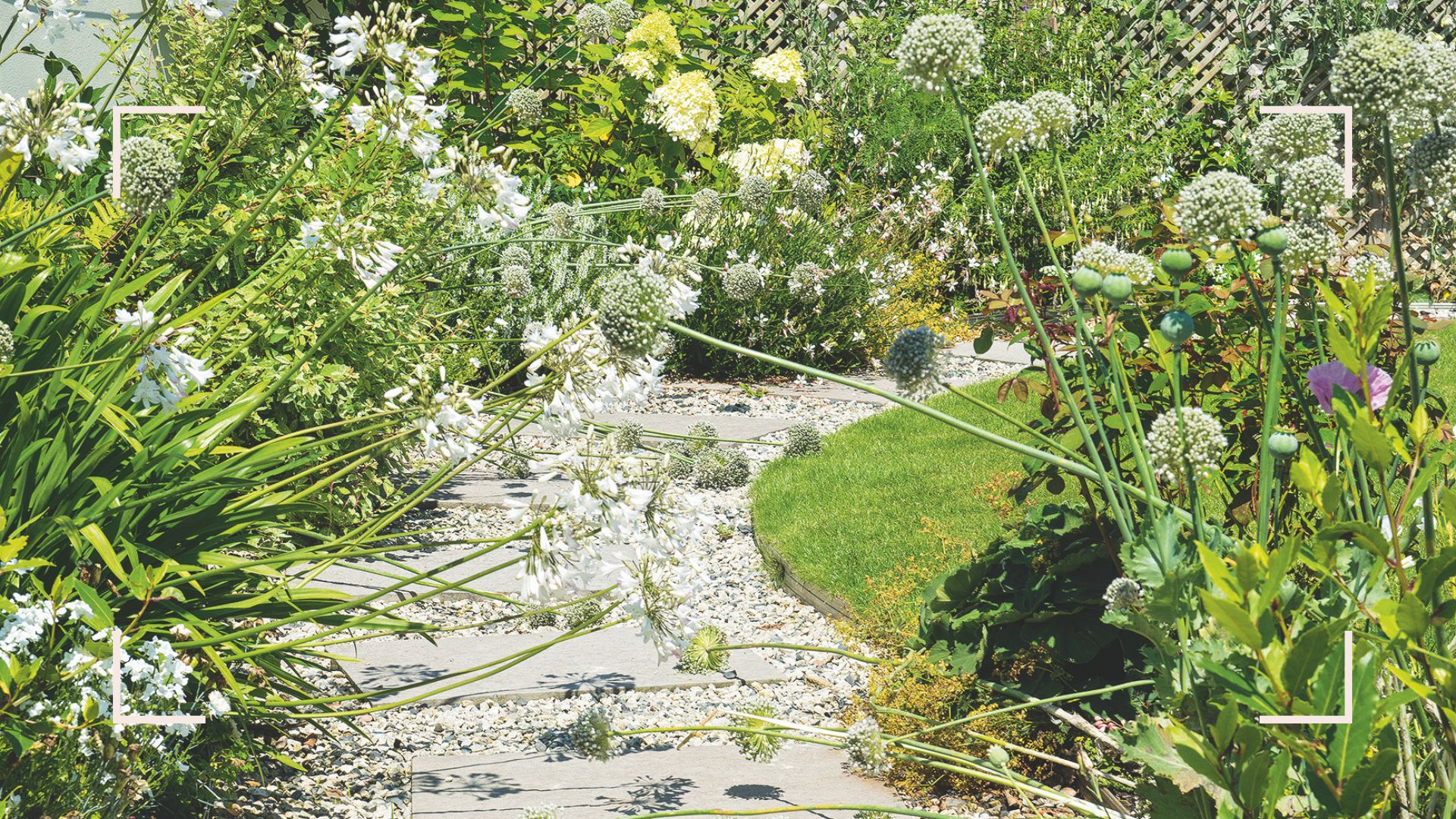 A garden with wildflower boarders either side of a gravel path