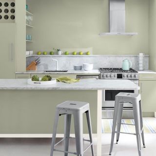 Pale Green kitchen with island