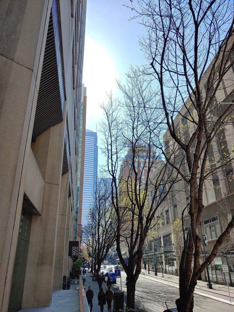 LG G8 camera sample