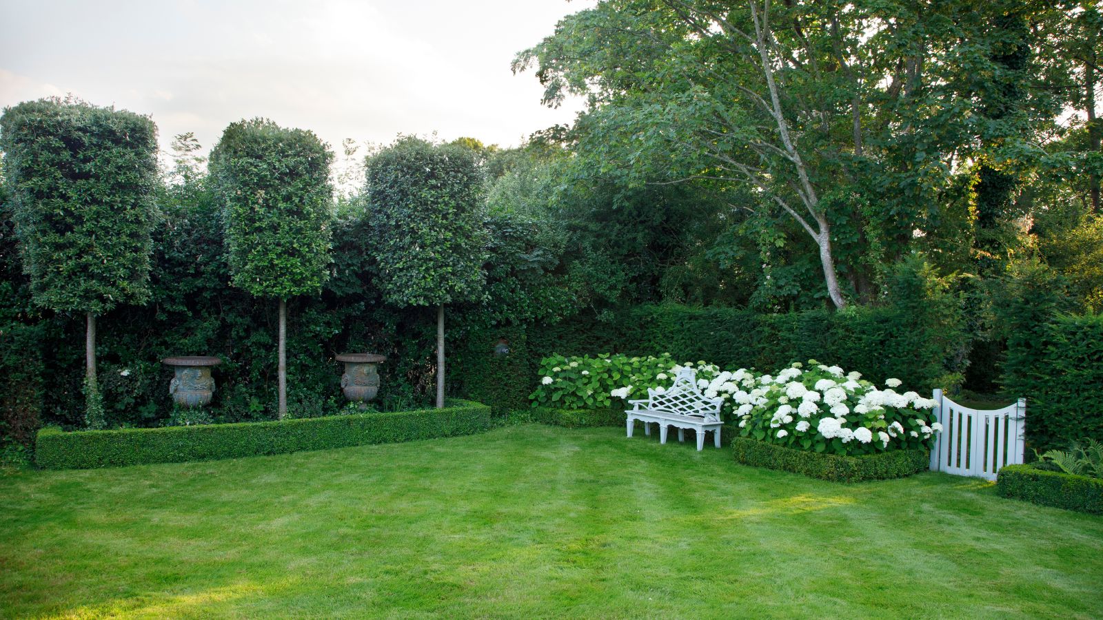 Garden with lush lawn and topiary hedge with white flowers in the borders and a white wooden bench