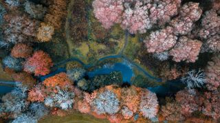 Drone photography: shot of a river in an autumnal forest