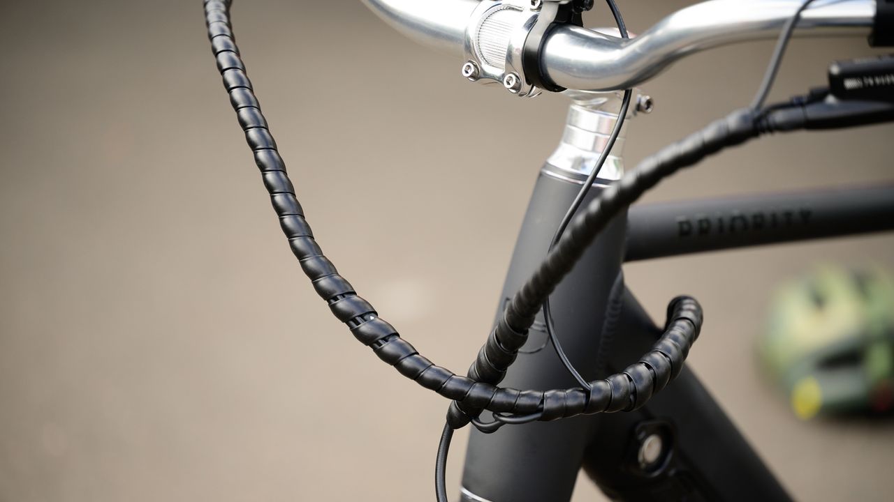 Priority e-Classic Plus ebike neat and tidy wiring