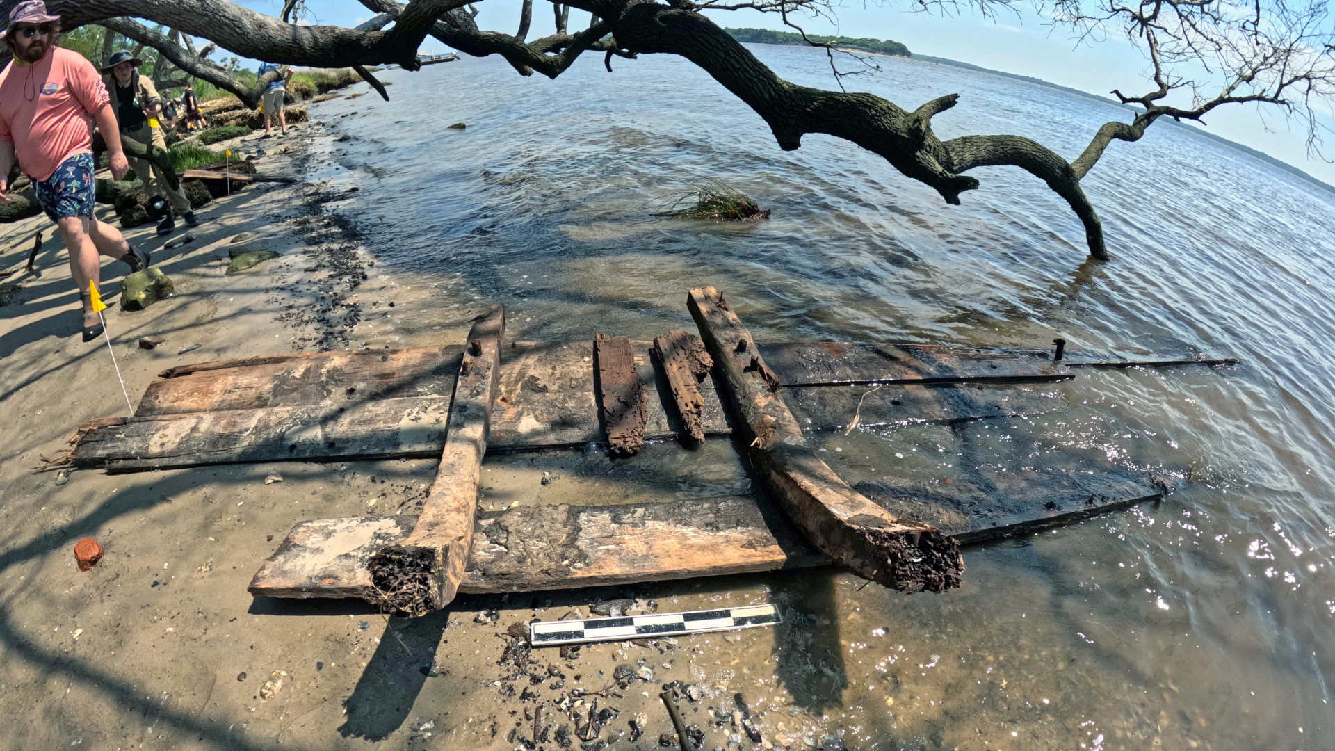 several pieces of old wood sit on a beach