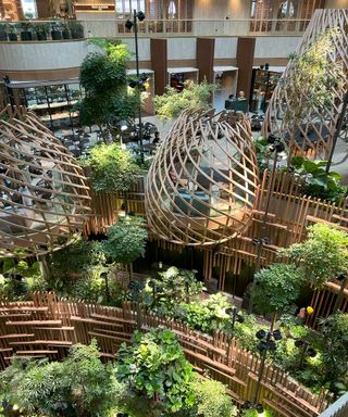 A three-level indoor garden features giant fiddle leaf fig trees and other tropical plants