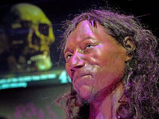 cheddar man