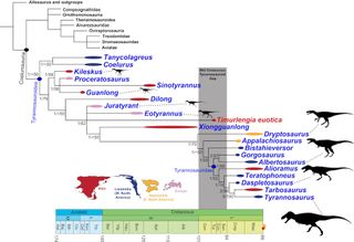 Family tree, tyrannosaur relative
