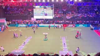 Crufts Flyball competition 2023
