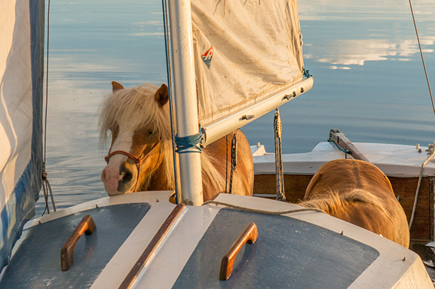 onaboat2