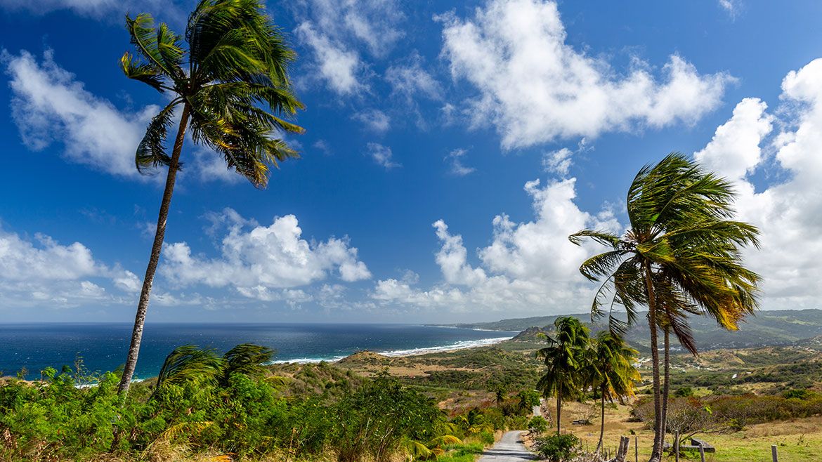 Cherry Tree Hill, Barbados