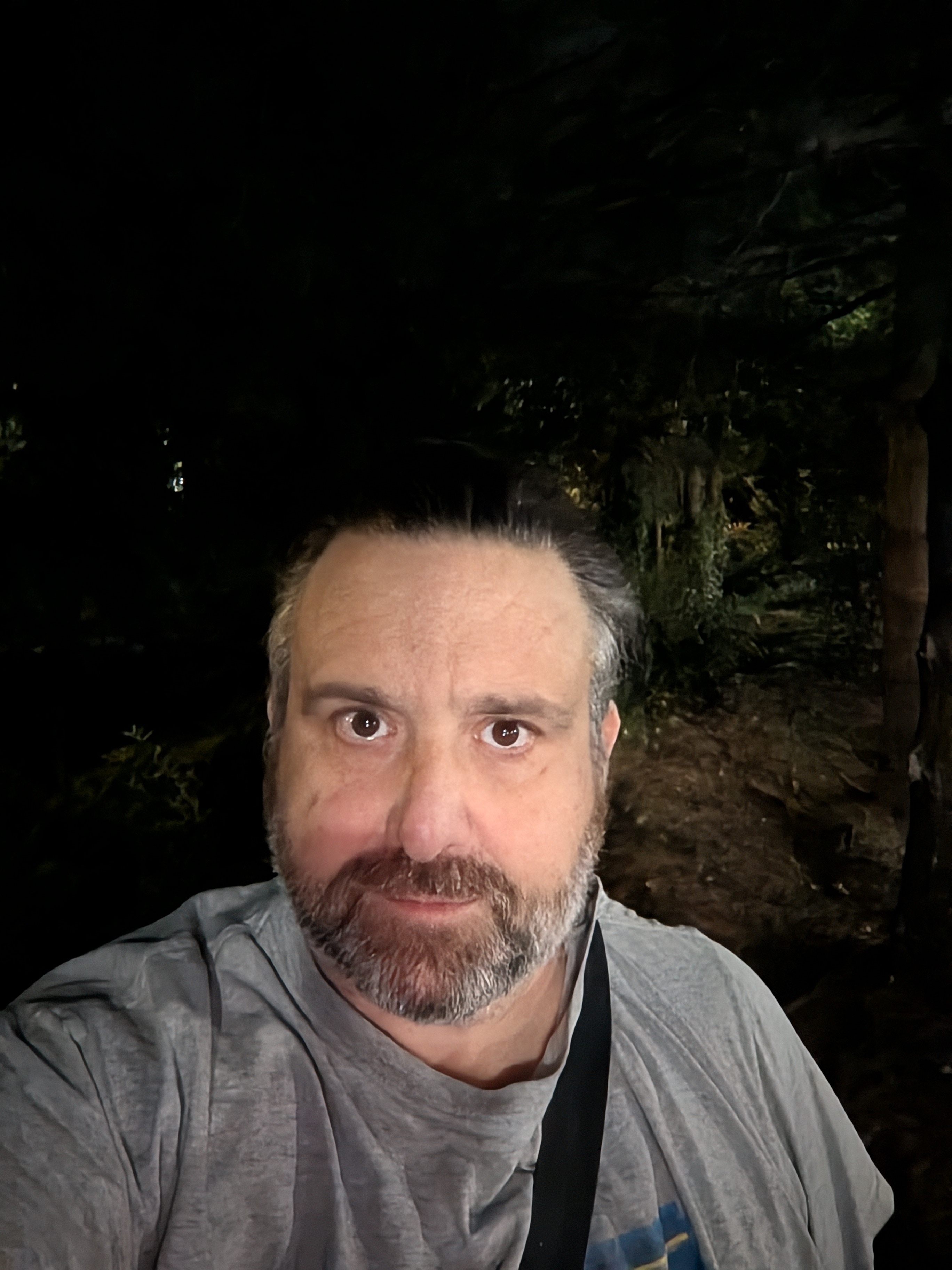 Camera image samples taken with the Google Pixel 10 Pro and Pixel 10 Pro XL