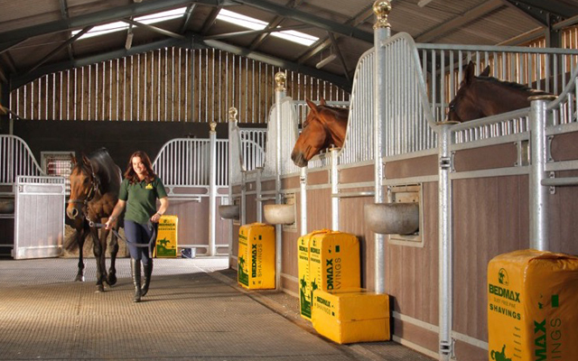 Bedmax-Stables