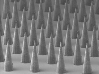 scanning electron micrograph of microneedles