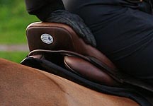 saddlemarking.JPG