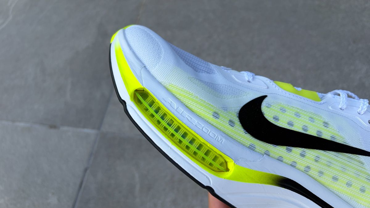 Nike Pegasus Plus 2