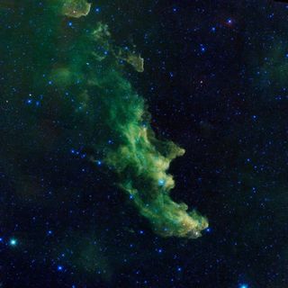 witch head nebula looks like a side on view of a green witch.