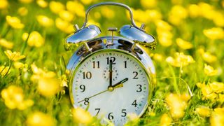 A photograph of a silver clock in grass